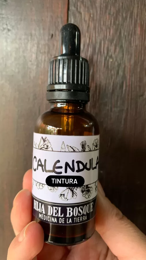 CALÉNDULA 