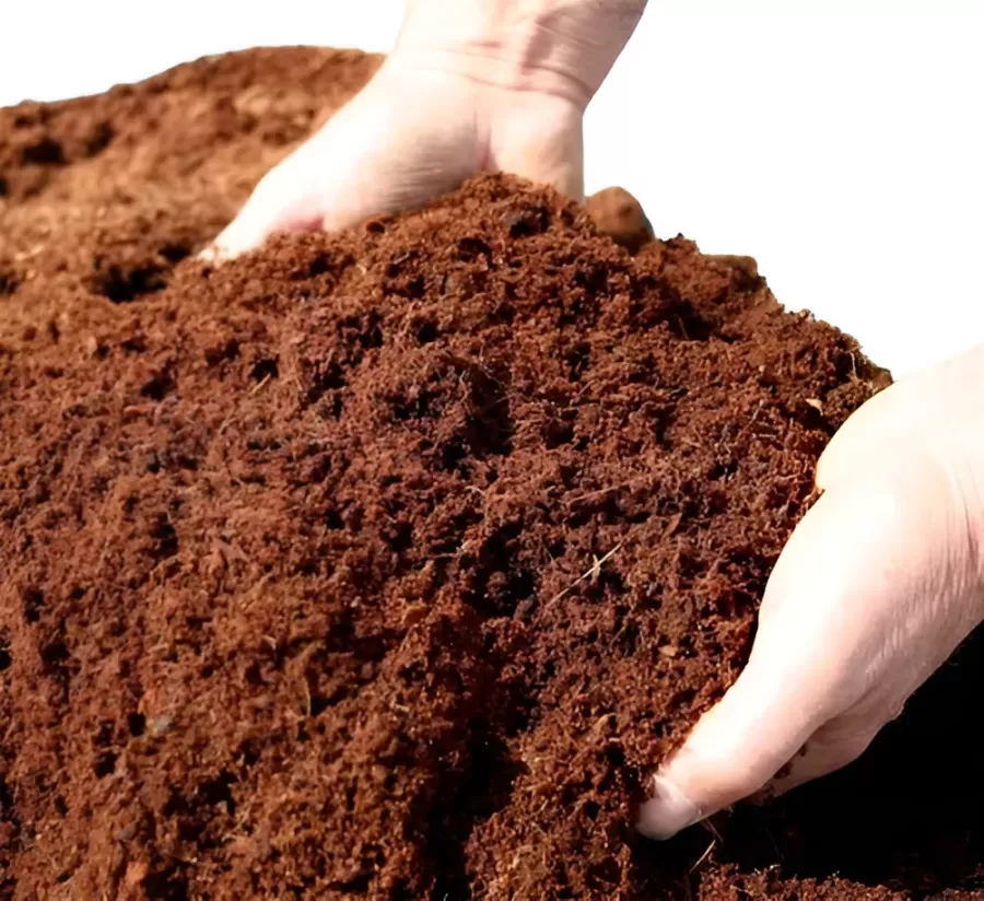 FIBRA DE COCO 10 LITROS